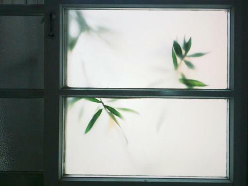 Xiaobei Home2
