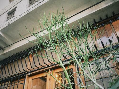Xiaobei Home2
