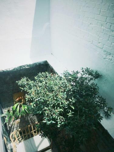 Xiaobei Home2