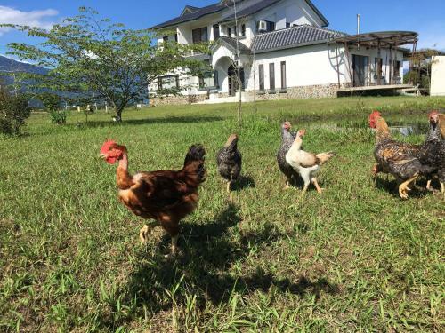 Hsia Hui Homestay
