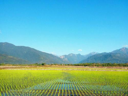 Hsia Hui Homestay