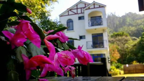 Bed & Breakfast Star Coffee & Homestay