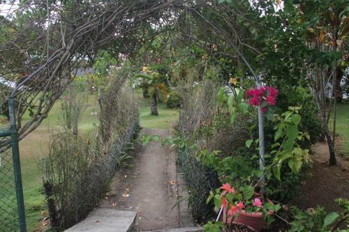 Bed & Breakfast Daniella's Bungalows