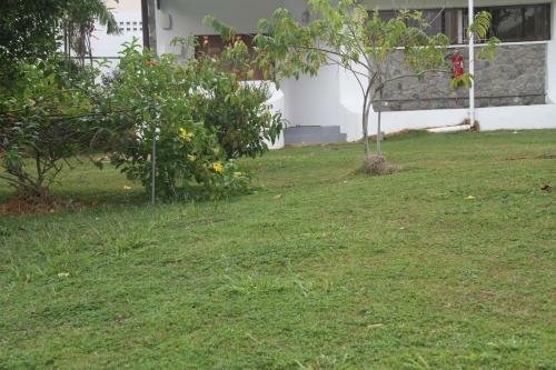 Bed & Breakfast Daniella's Bungalows