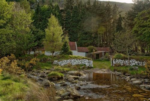 Bed & Breakfast Lettermore Country Home