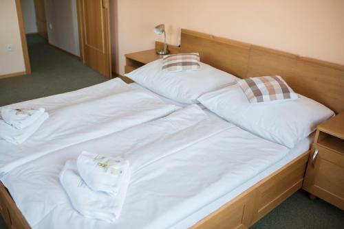 Hostal Penzion Nad Oborou