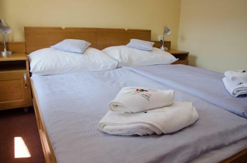 Hostal Penzion Nad Oborou