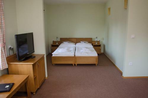 Hostal Penzion Nad Oborou