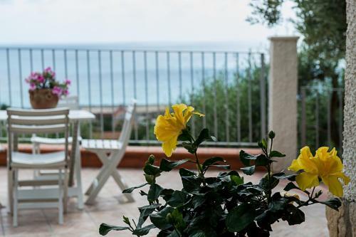 Bed & Breakfast L'ulivo Sul Mare
