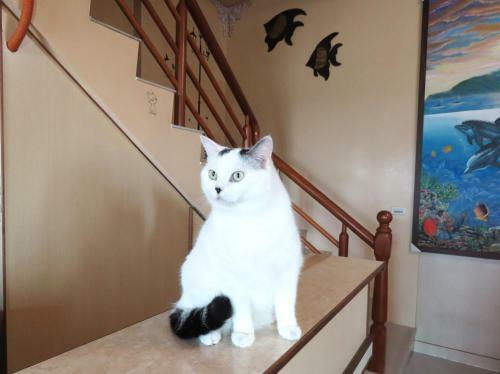 Tou Cheng Whale Watching Homestay