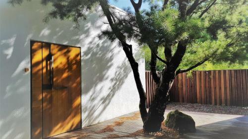 Aroundthetree Hermitage
