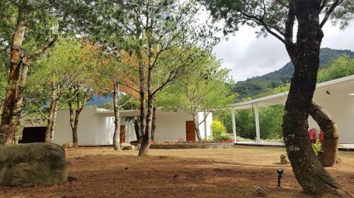 Aroundthetree Hermitage