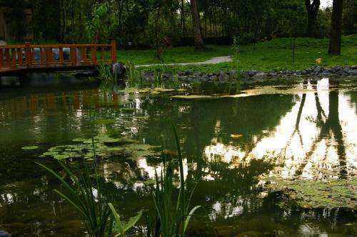Amrita Green Retreat