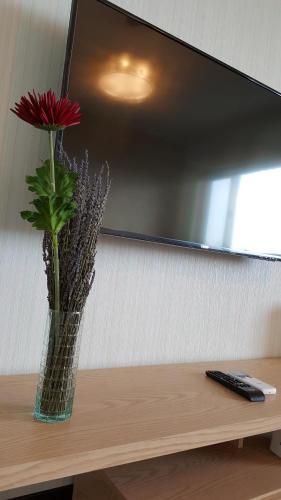 Hostal Chi House