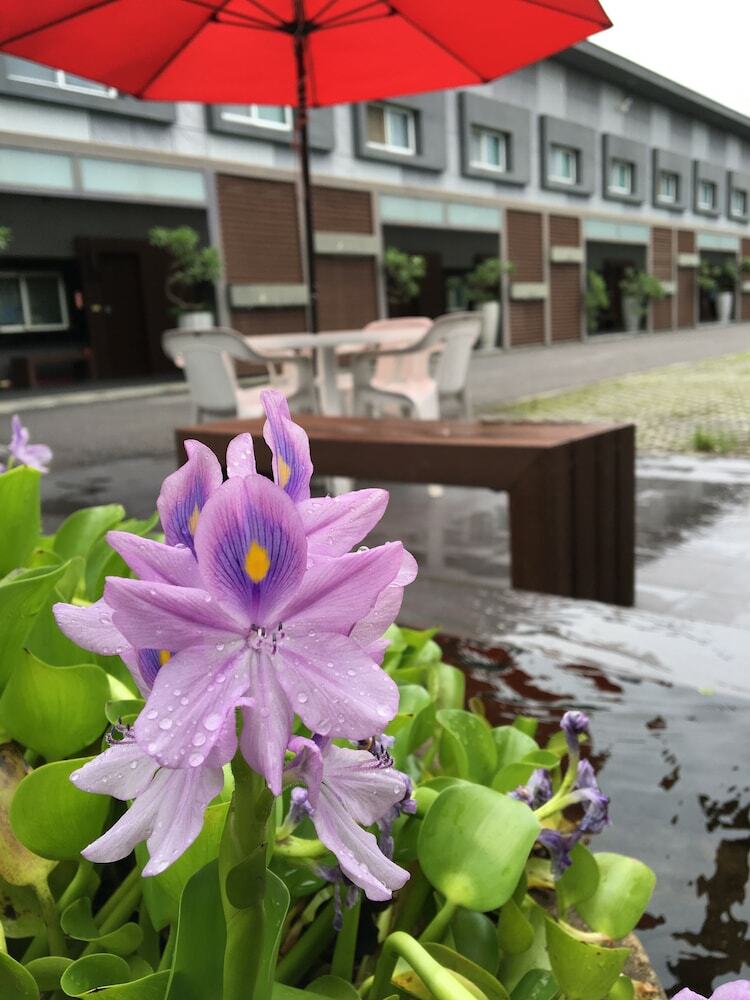 Nikaido Business Hotel
