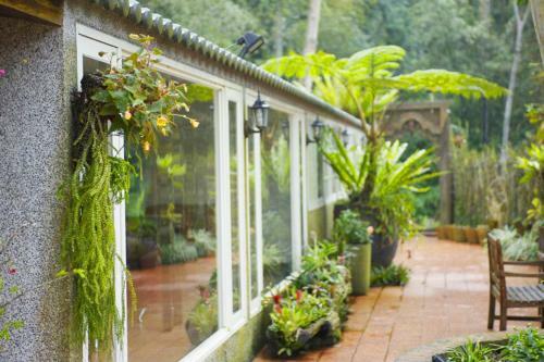 Green Shine B&B