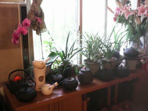 Art & Garden Home