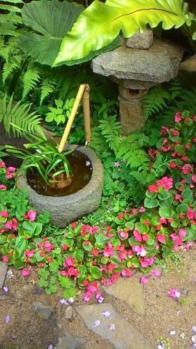 Art & Garden Home