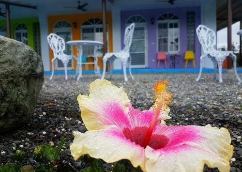 Wei Feng Jia Yuan B&B