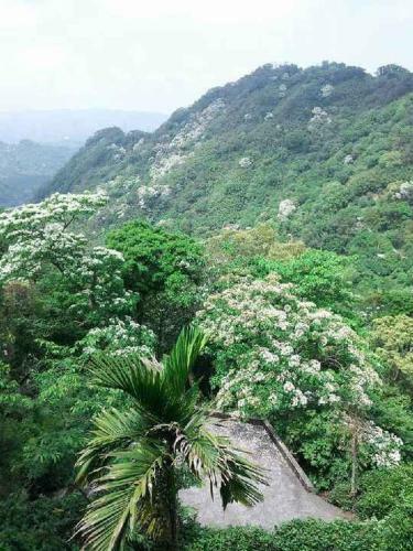 Lu Feng Homestay