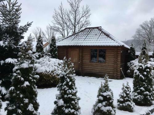 Hostal Girskyi Kut