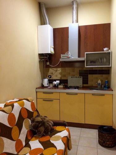Apartment Lviv Centre Doroshenka 19