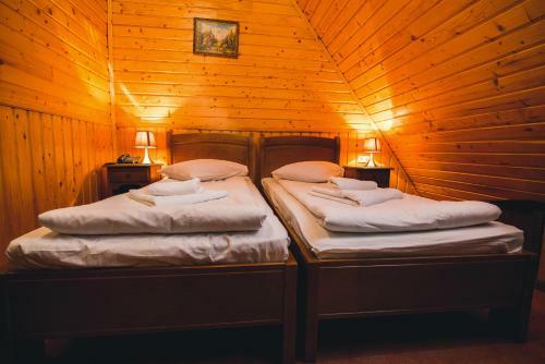 Hotel Karpatska Vezha
