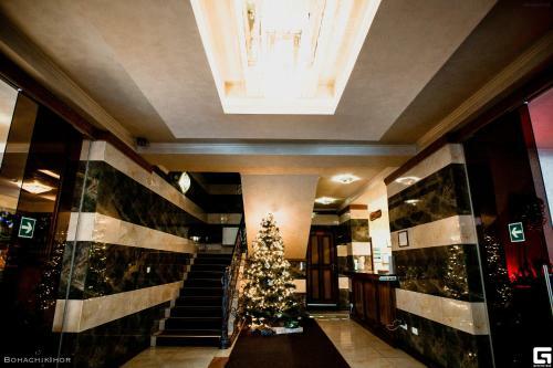 Hotel Karpatska Vezha