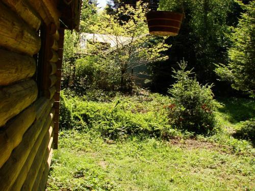 Hostal Edelweiss