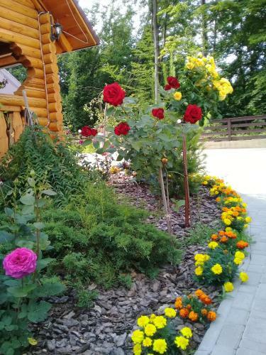 Lodge Rajska Zahrada