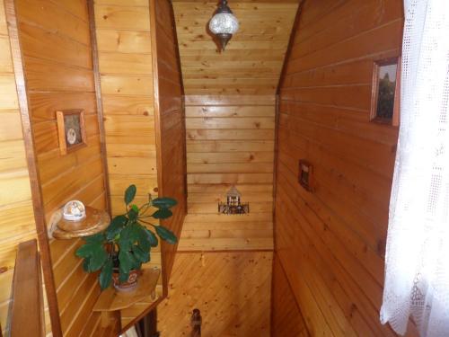 Lodge Alfa Romantyka
