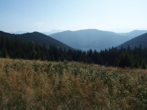 Lodge Alfa Romantyka