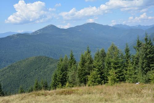 Lodge Alfa Romantyka