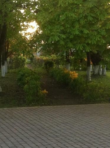 Hostal Piroshka Hotel