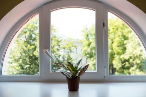 Dream Hostel Poltava