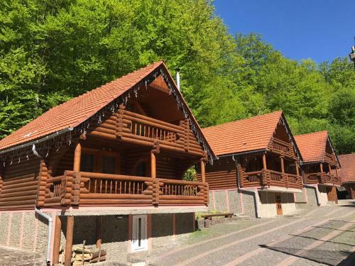 Posada Toursit Complex Polyana Kvasova
