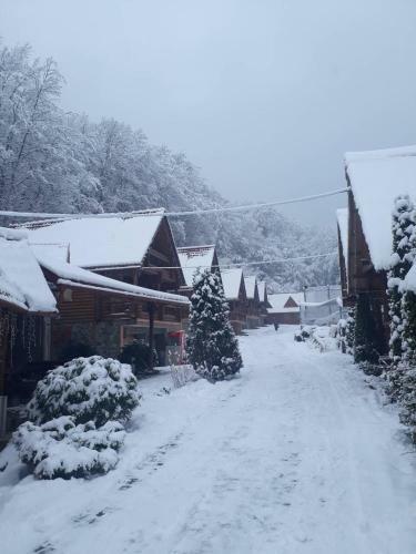 Posada Toursit Complex Polyana Kvasova