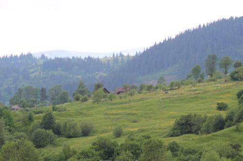 Hotel Sukhoviia