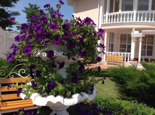 Agroturismo Villa Rose