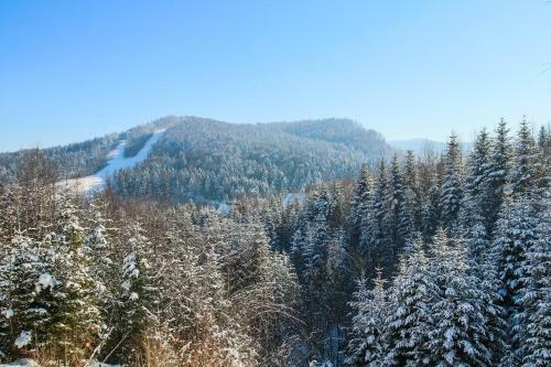 Hotel Karpaty Migovo