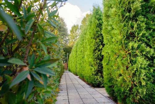 Bed & Breakfast Petrovskyi Brovar