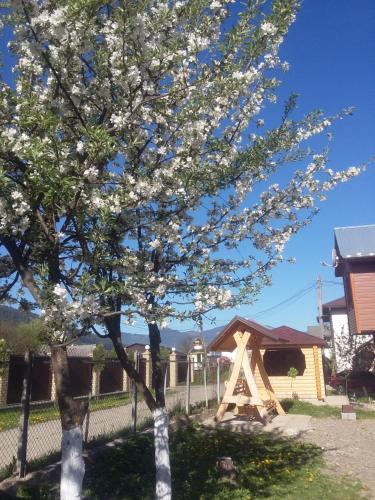 Lodge Zatushok Pid Goroyu