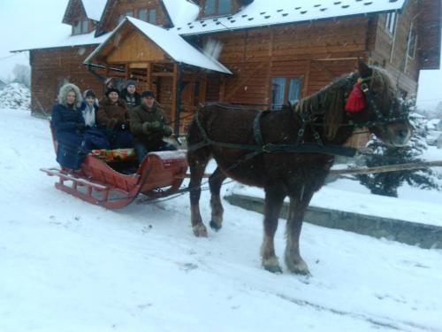 Hostal Kosmatska Pusanka