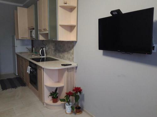Lutsk, Double-room Apartments
