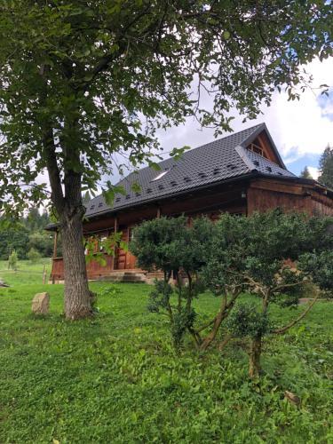 Eco Cottage Familniy