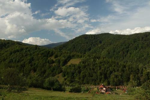 Mir Solntsa