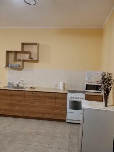 Apartamento ???????? Lutskyj Zamok
