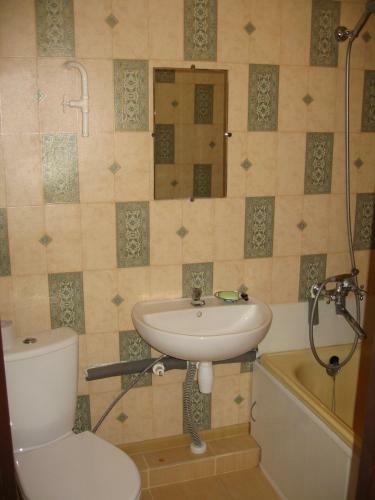 Apartment On Gagarina 67