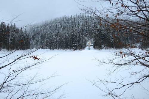 Hotel Goryanyn