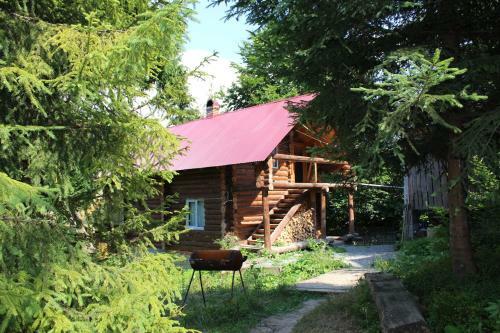 Hotel Goryanyn